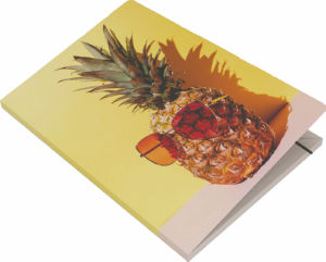 Mapa A4, ananas, z elastiko
